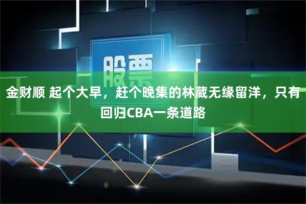 金财顺 起个大早，赶个晚集的林葳无缘留洋，只有回归CBA一条道路