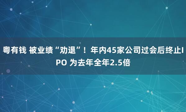 粤有钱 被业绩“劝退”！年内45家公司过会后终止IPO 为去年全年2.5倍