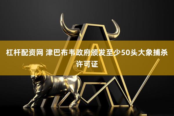 杠杆配资网 津巴布韦政府颁发至少50头大象捕杀许可证