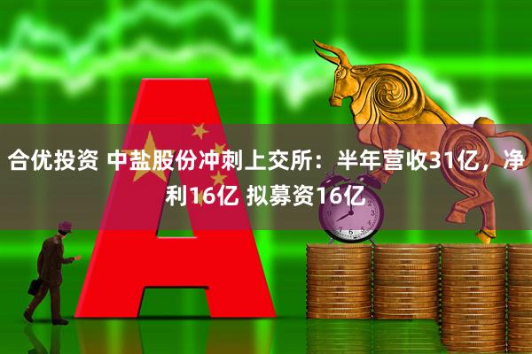 合优投资 中盐股份冲刺上交所：半年营收31亿，净利16亿 拟募资16亿