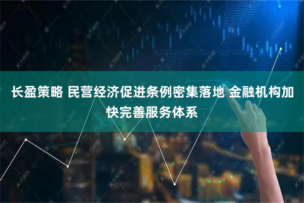 长盈策略 民营经济促进条例密集落地 金融机构加快完善服务体系